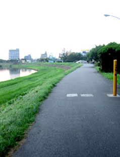 photo7